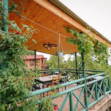 סינגאני Guest House Evdoshvili St N5 מראה חיצוני תמונה