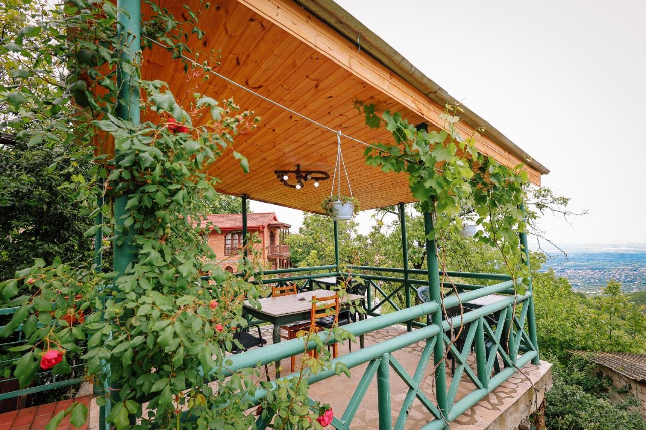 סינגאני Guest House Evdoshvili St N5 מראה חיצוני תמונה