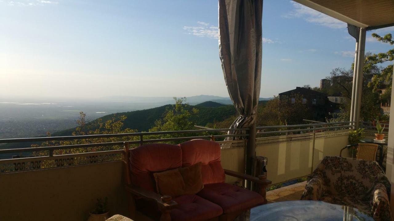 סינגאני Guest House Evdoshvili St N5 מראה חיצוני תמונה